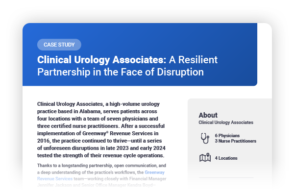 preview image of a case study